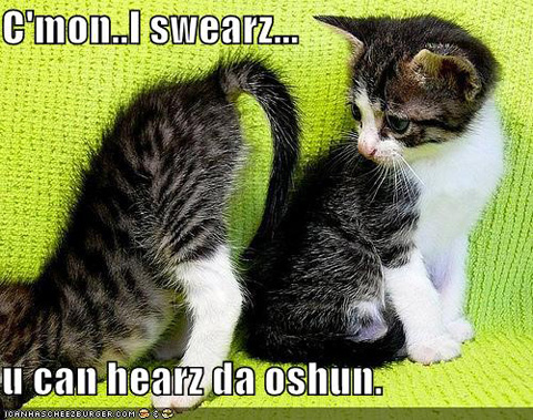 Some kitty cats are so gullible. Hahaha…hehehe…the pics are cute, 