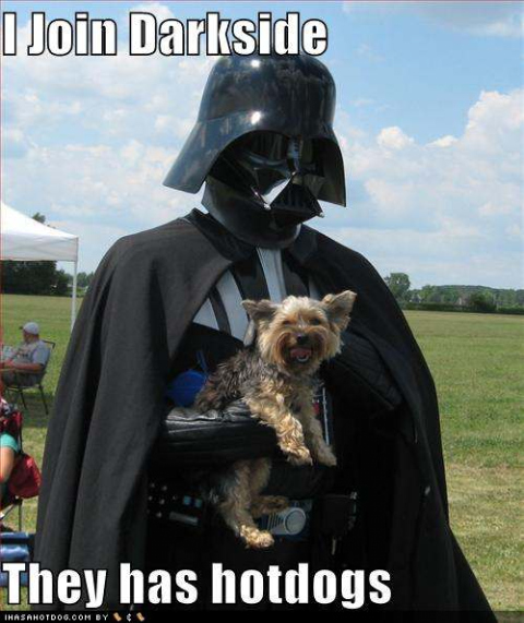 funny-dog-pictures-dog-joins-the-dark-side