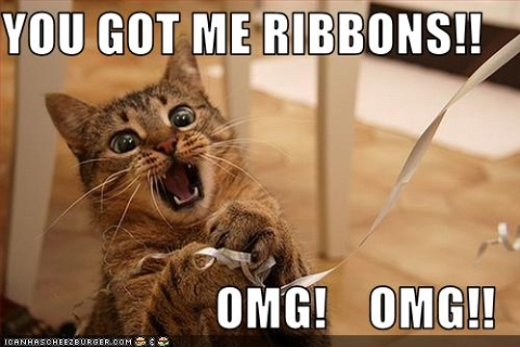 funny-pictures-cat-is-excited-about-ribbons